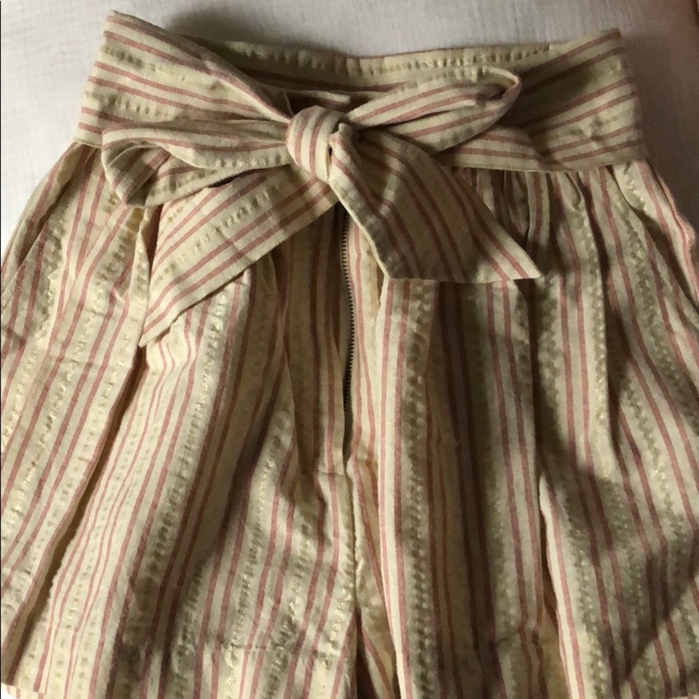 Adorable shorts, but not my size. Never worn.